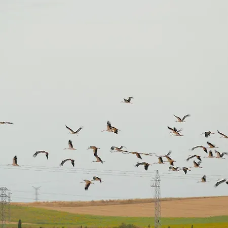 Casa Escalones Nyaraló Villalba (Soria)