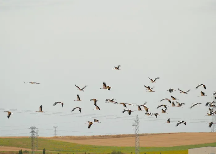Casa Escalones Casa vacanze Villalba (Soria)